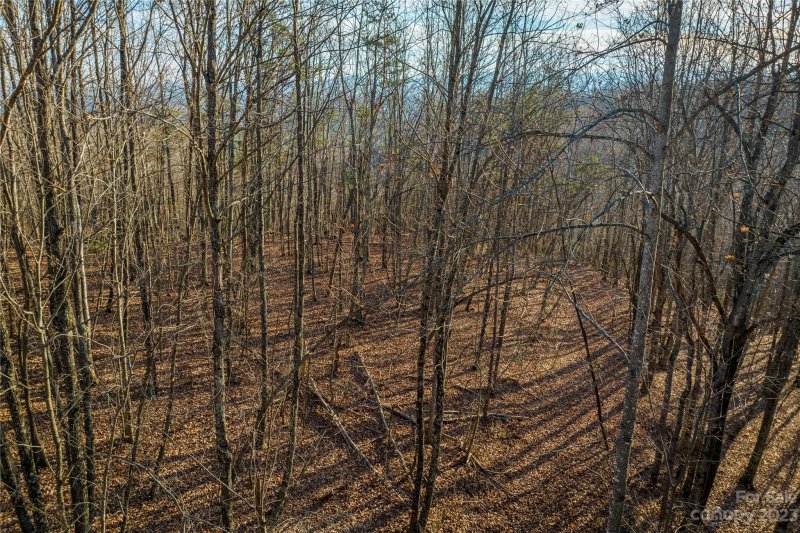 Property image 3 at 3592 Back Bluff Drive, Morganton, NC 28655