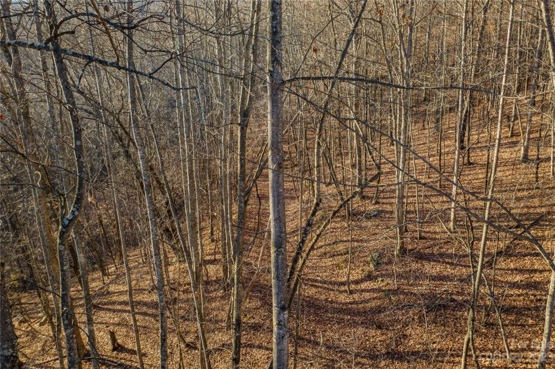 Property image 4 at 3592 Back Bluff Drive, Morganton, NC 28655