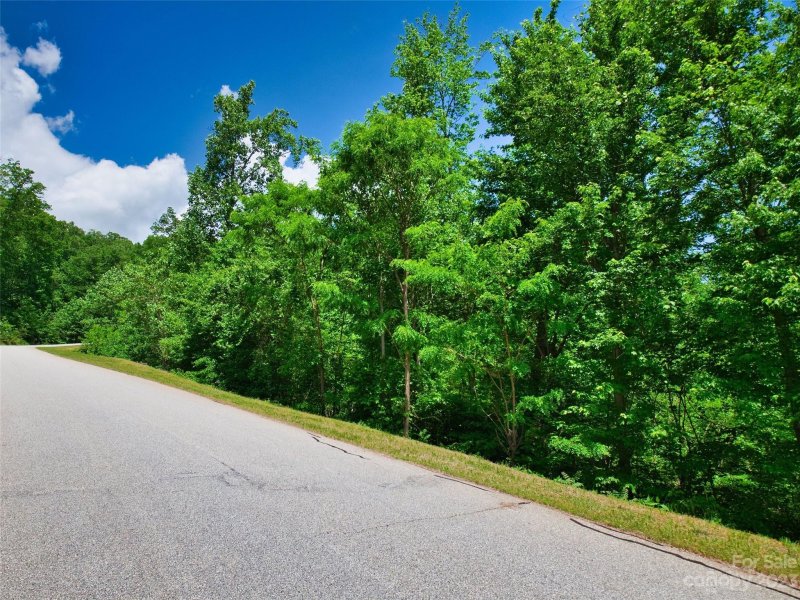 Property image 3 at Lot 64 Bear Cliff Way, Lake Lure, NC 28746