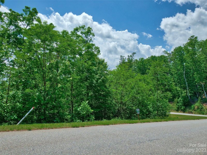 Property image 4 at Lot 64 Bear Cliff Way, Lake Lure, NC 28746