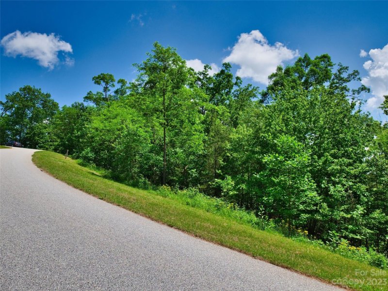 Property image 5 at Lot 64 Bear Cliff Way, Lake Lure, NC 28746