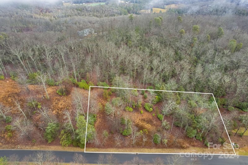 Property image 4 at 163 Stonefly Drive, Horse Shoe, NC 28742