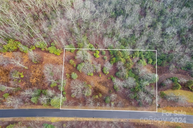 Property image 5 at 163 Stonefly Drive, Horse Shoe, NC 28742