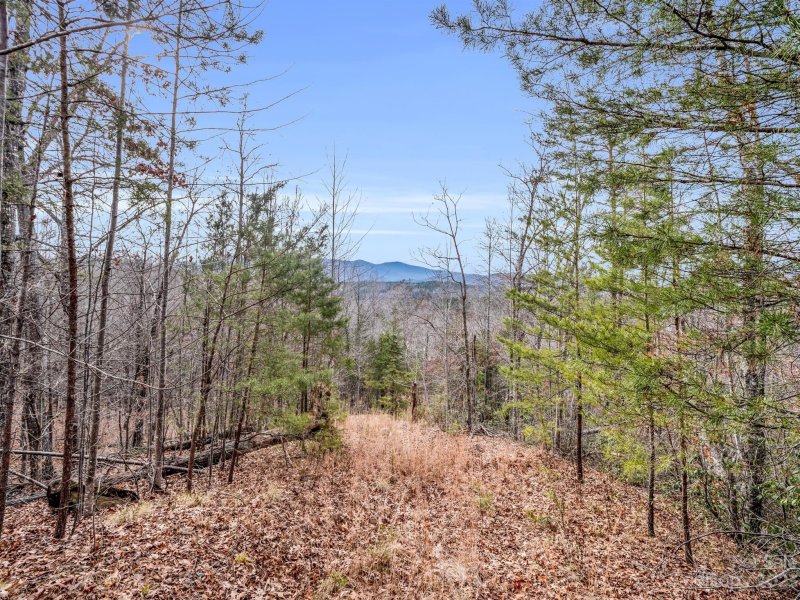 Property image 2 at Lot 4 Parkway North Road, Mill Spring, NC 28756