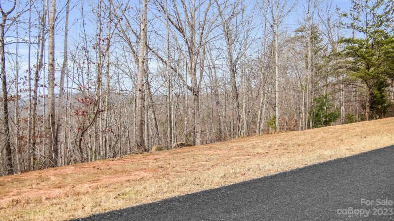 Property image 5 at Lot 4 Parkway North Road, Mill Spring, NC 28756