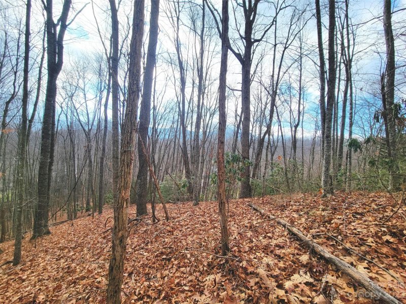 Property image 2 at 3 Mountain Watch Drive, Waynesville, NC 28785