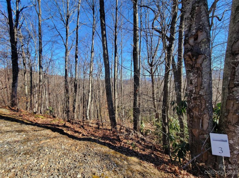 Property image 3 at 3 Mountain Watch Drive, Waynesville, NC 28785