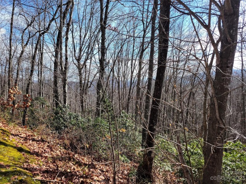 Property image 4 at 3 Mountain Watch Drive, Waynesville, NC 28785