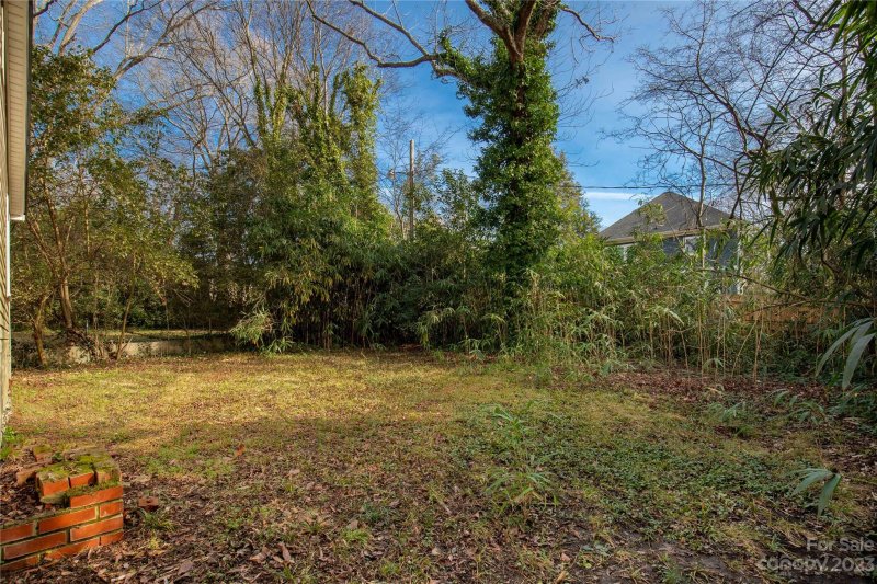 Property image 5 at 1304 Condon Street, Charlotte, NC 28216