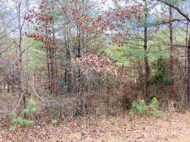 Property image 5 at Lot 197 Chimney Creek Lane, Rutherfordton, NC 28139