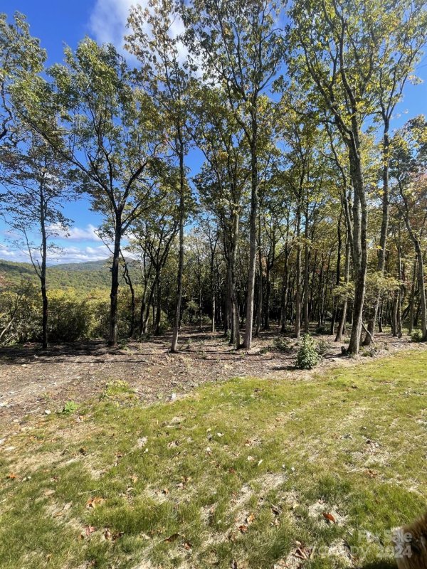 Property image 2 at 0000 East Garden Trail, Hendersonville, NC 28792