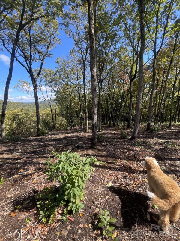 Property image 4 at 0000 East Garden Trail, Hendersonville, NC 28792