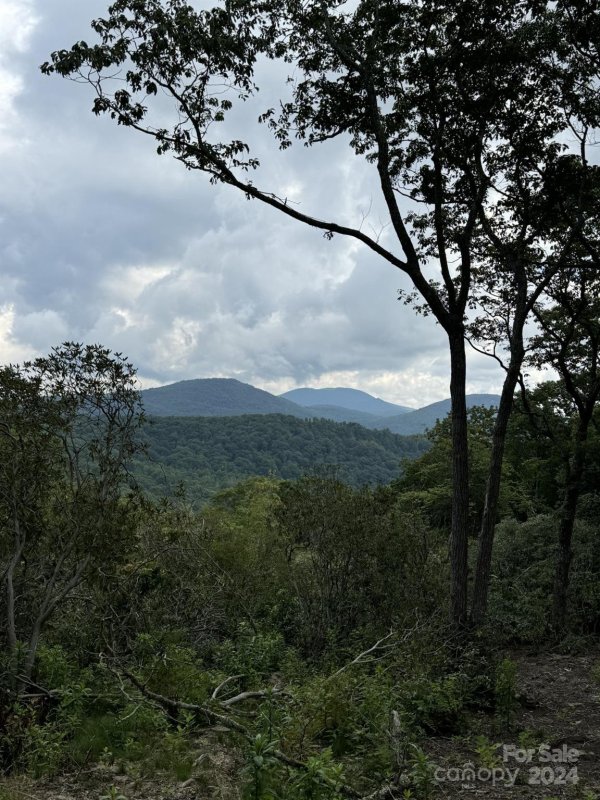 Property image 5 at 0000 East Garden Trail, Hendersonville, NC 28792