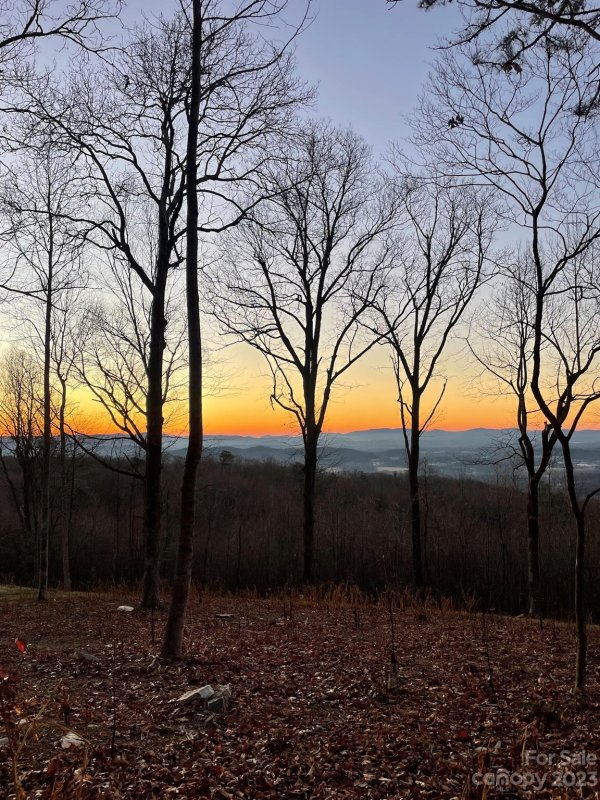 Property image 2 at 0000 East Garden Trail, Hendersonville, NC 28792