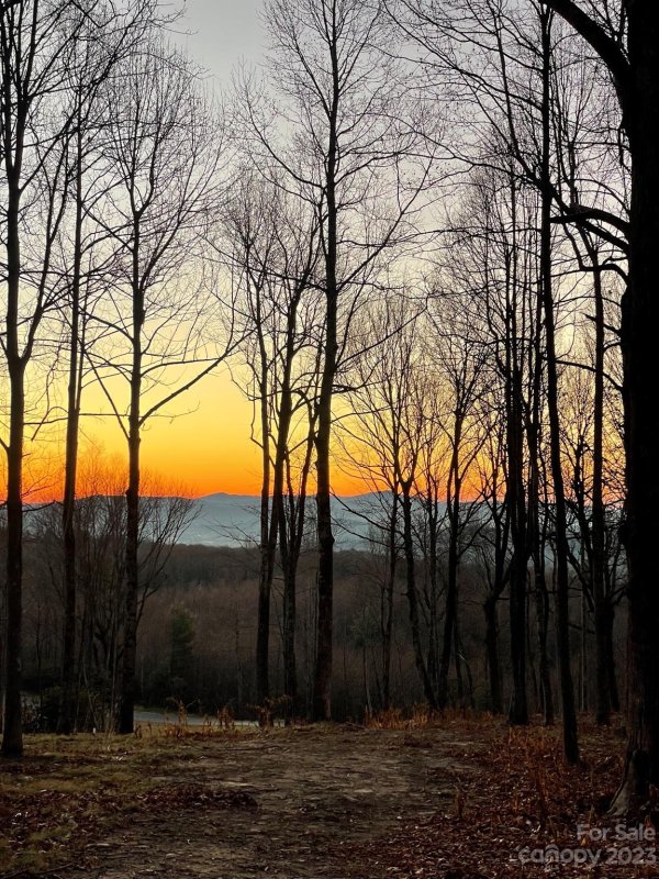 Property image 3 at 0000 East Garden Trail, Hendersonville, NC 28792