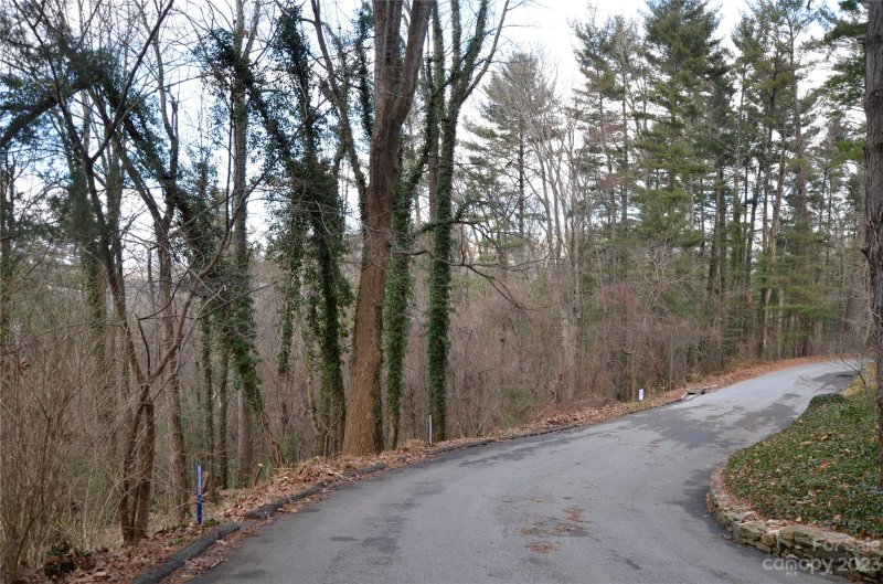 Property image 5 at 9999 Horizon Hill Road, Asheville, NC 28804