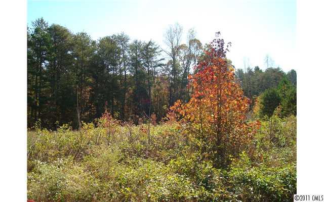 Property image 5 at 45 Arden Gate Drive, Iron Station, NC 28080