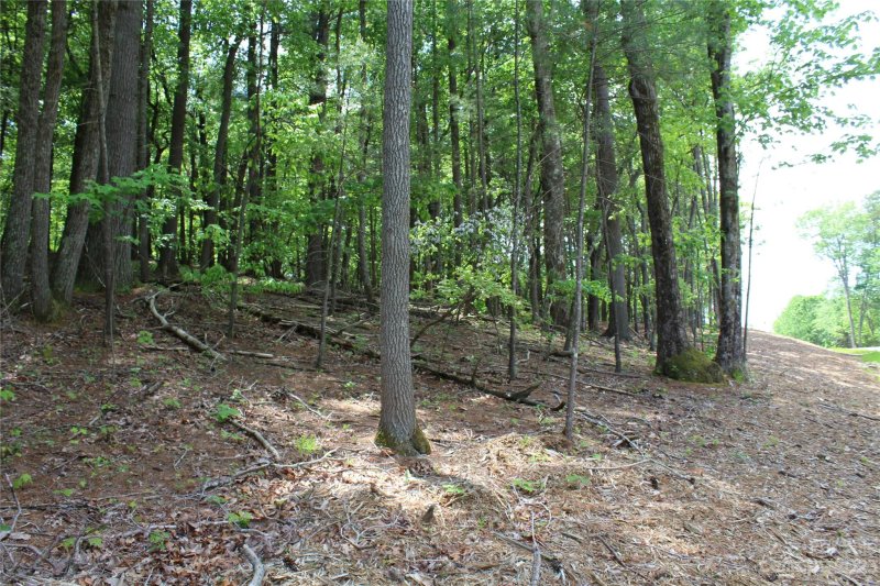 Property image 2 at 000 Northview Drive, Hendersonville, NC 28791