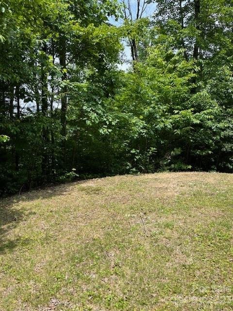 Property image 3 at 78 Peppervine Circle, Rosman, NC 28772