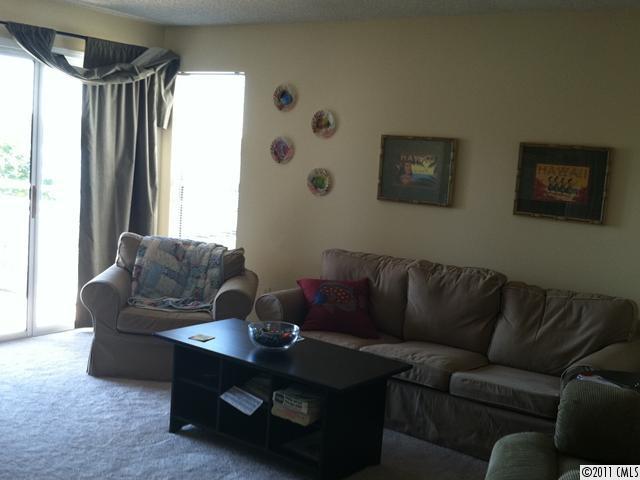 Property image 4 at 1338 Torrence Circle, Davidson, NC 28036