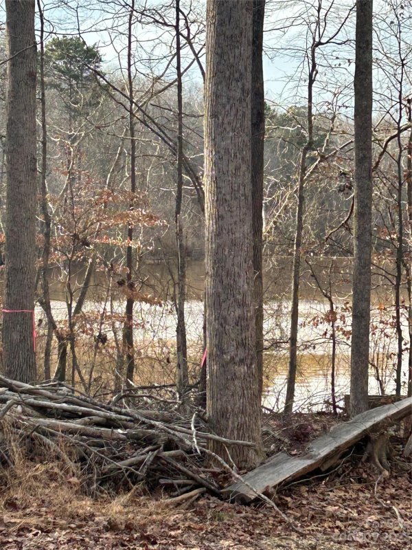 Property image 3 at 10609 E Lake Road, Charlotte, NC 28215