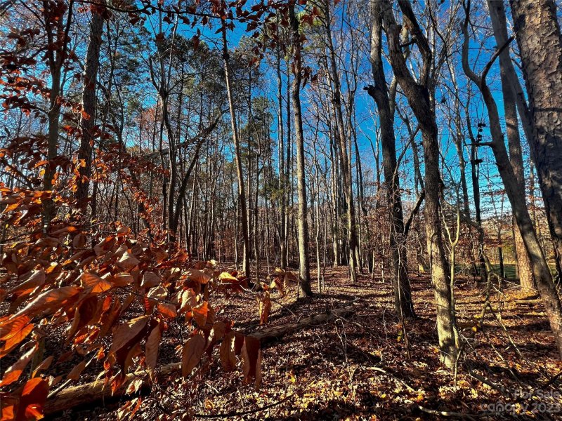 Property image 3 of 138 Copper Pine Lane in Copper Pine, Davidson, NC 28036