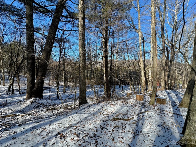 Property image 2 of T4 Seneca Drive in twin rivers, Boone, NC 28607