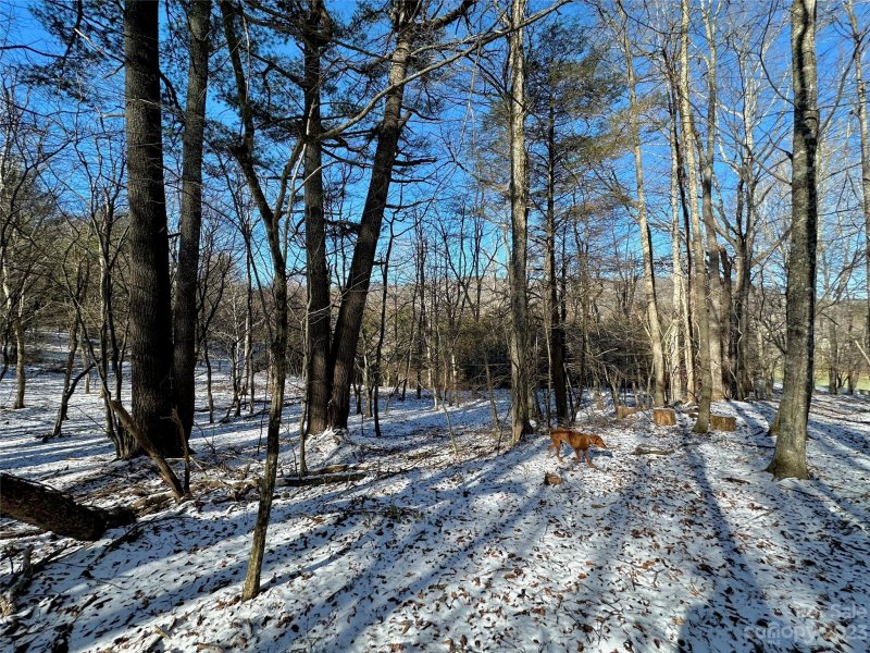 Property image 3 of T4 Seneca Drive in twin rivers, Boone, NC 28607