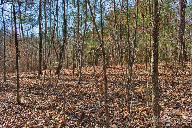 Property image 3 of 0 Woodstock Lane in Clearwater Creek, Rutherfordton, NC 28139