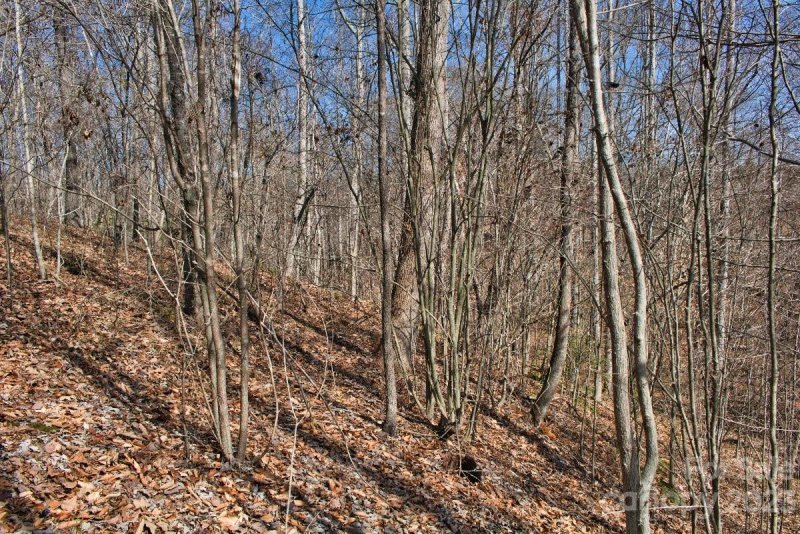 Property image 5 of 0 Woodstock Lane in Clearwater Creek, Rutherfordton, NC 28139