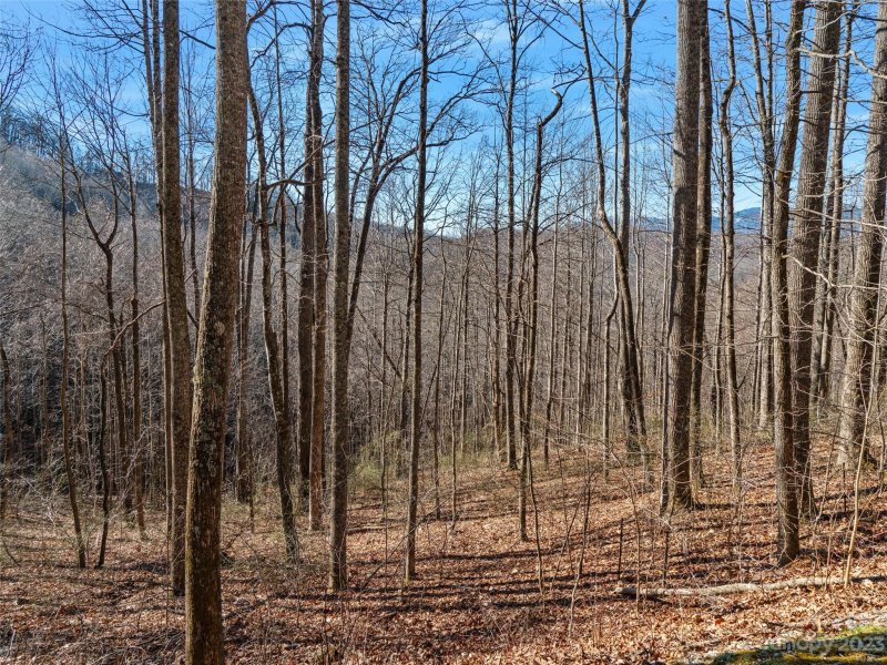 Property image 4 at 67 Rainbow Trout Drive, Spruce Pine, NC 28777