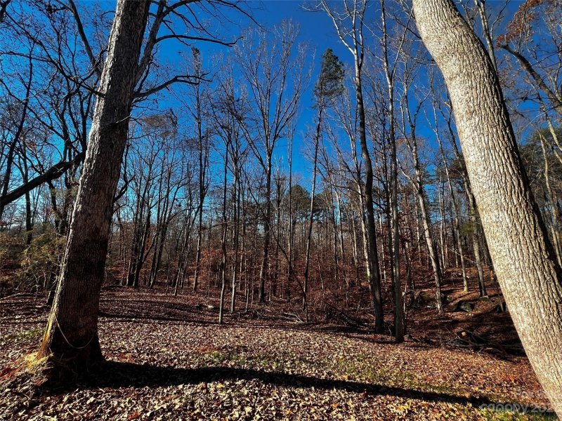 146 Copper Pine Lane