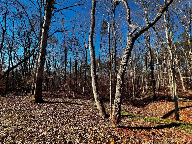 Property image 2 of 146 Copper Pine Lane in Copper Pine, Davidson, NC 28036