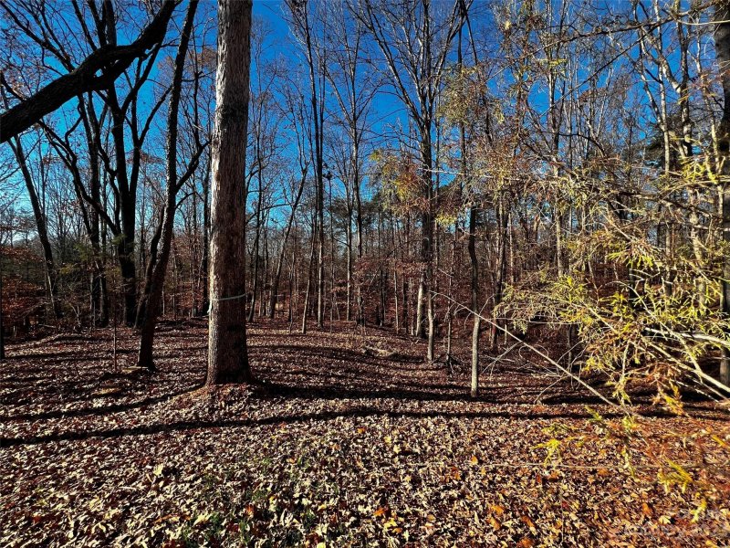 Property image 3 of 146 Copper Pine Lane in Copper Pine, Davidson, NC 28036