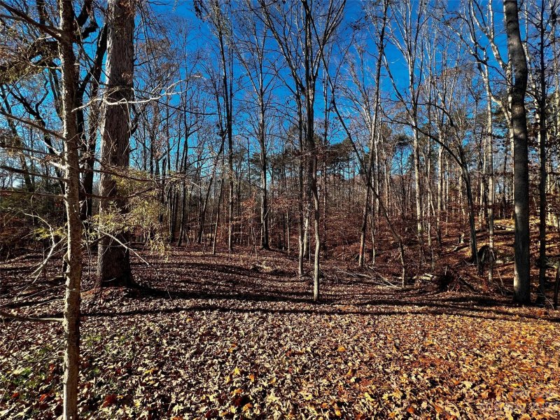 Property image 4 of 146 Copper Pine Lane in Copper Pine, Davidson, NC 28036