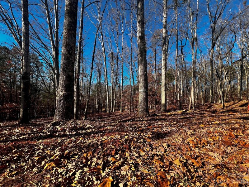 Property image 2 of 150 Copper Pine Lane in Copper Pine, Davidson, NC 28036