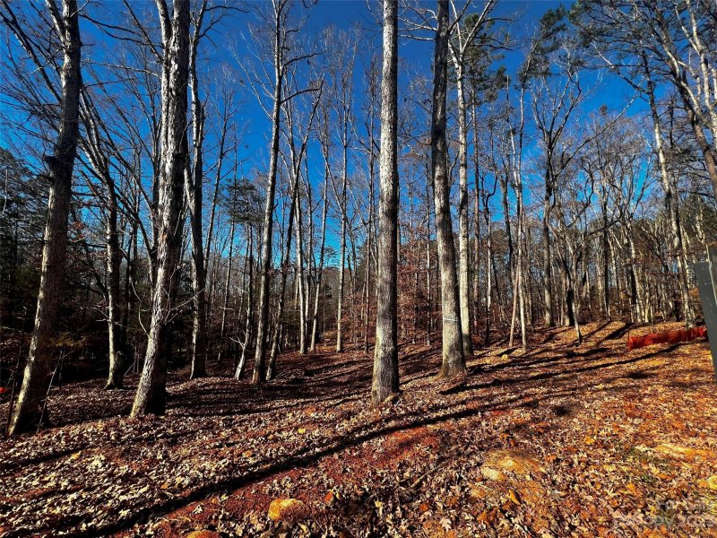 Property image 5 of 150 Copper Pine Lane in Copper Pine, Davidson, NC 28036