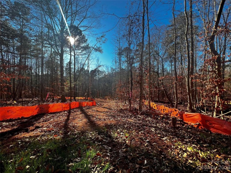 158 Copper Pine Lane