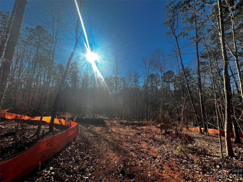 Property image 3 of 158 Copper Pine Lane in Copper Pine, Davidson, NC 28036