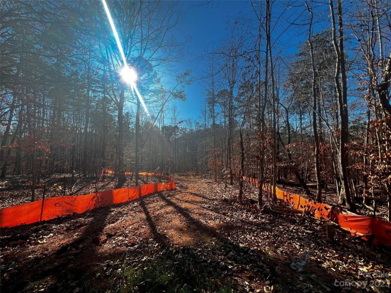 Property image 4 of 158 Copper Pine Lane in Copper Pine, Davidson, NC 28036