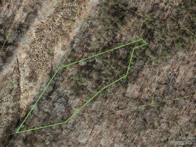 Property image 5 of 158 Copper Pine Lane in Copper Pine, Davidson, NC 28036