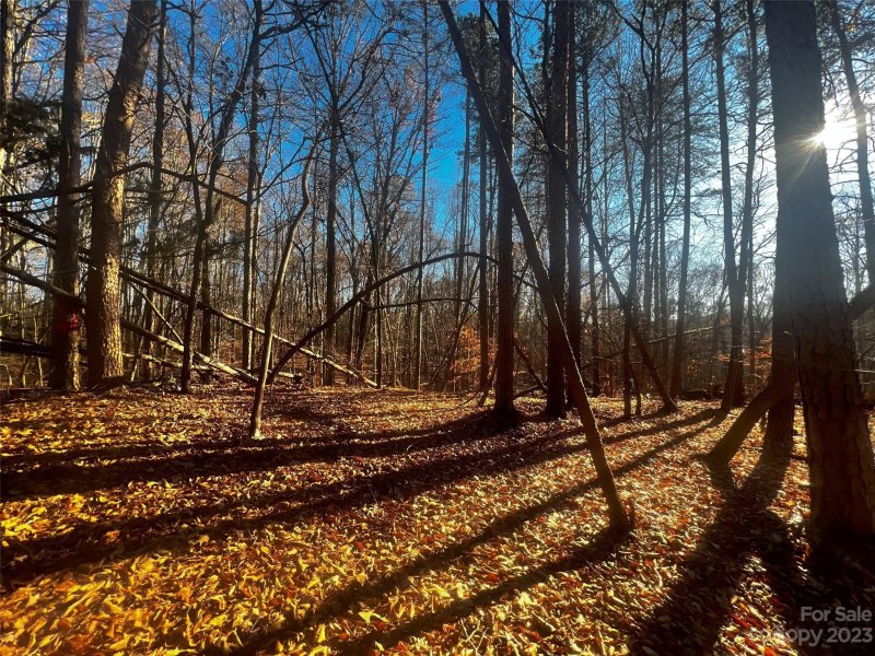 Property image 3 of 147 Copper Pine Lane in Copper Pine, Davidson, NC 28036