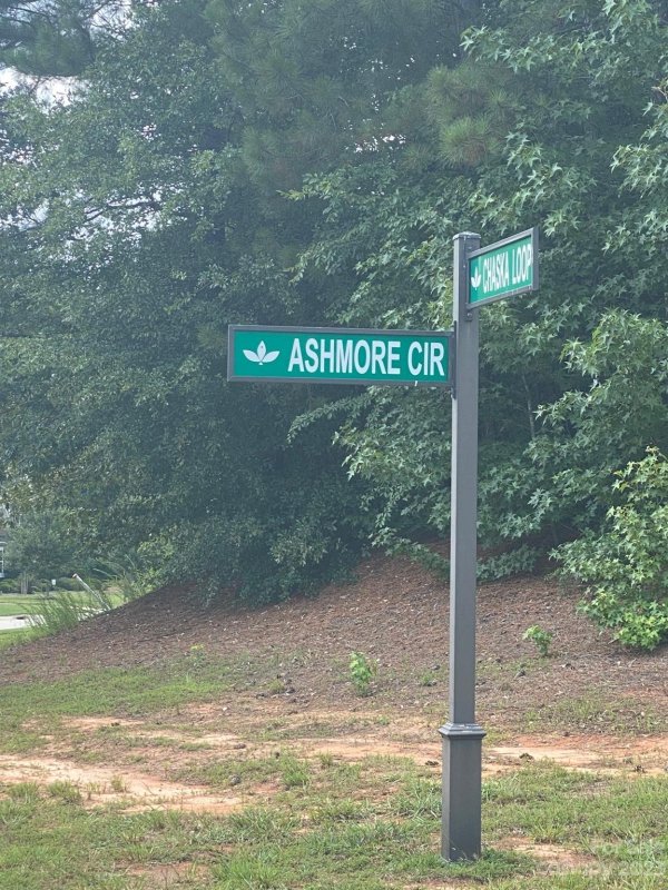 Property image 2 at 105 Chaska Loop, Troutman, NC 28166