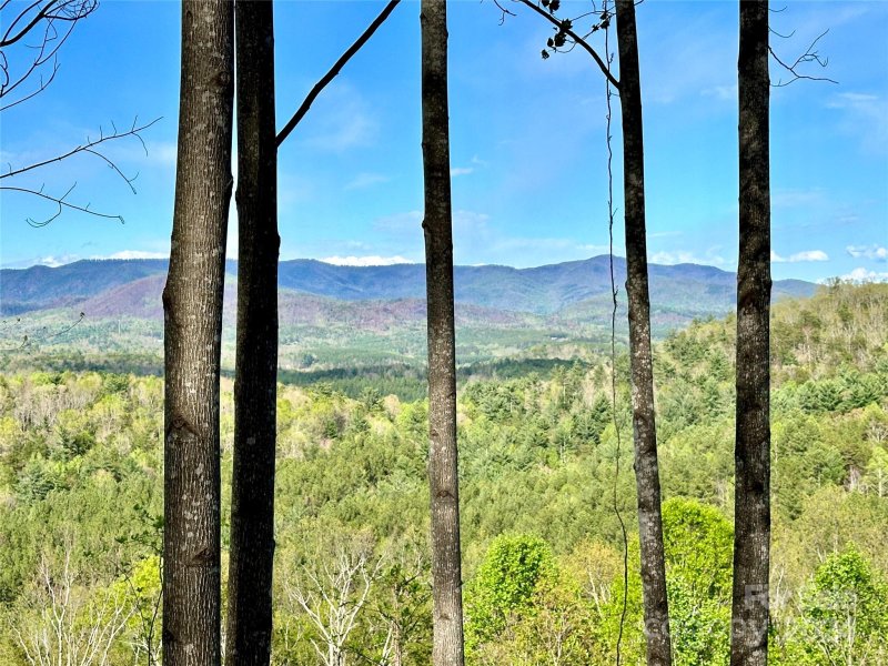 Property image 2 at 0 Woodgate Drive, Bostic, NC 28018