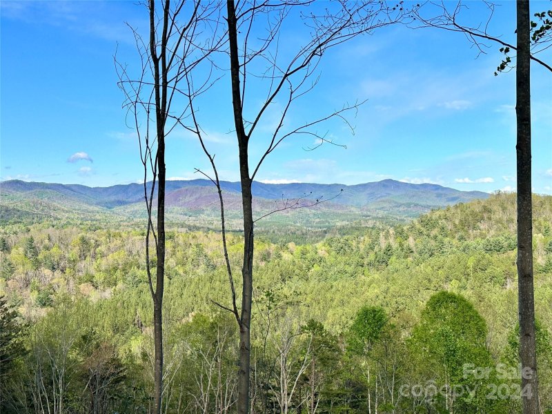 Property image 5 at 0 Woodgate Drive, Bostic, NC 28018