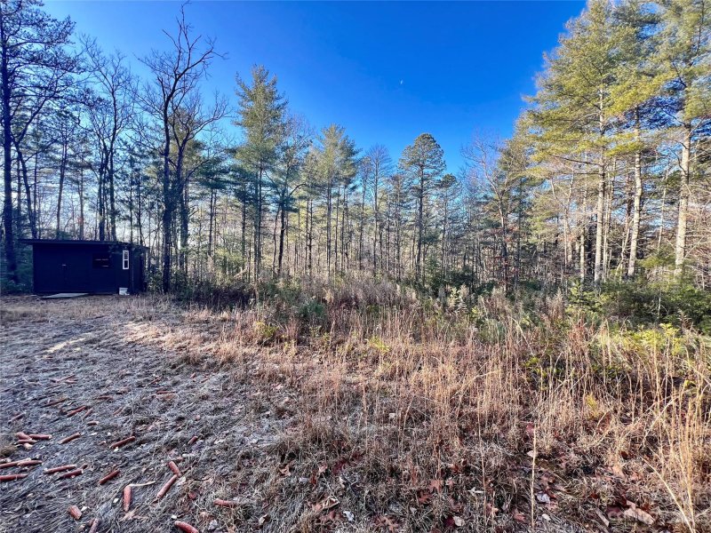 Property image 4 at Tbd Frozen Creek Road, Brevard, NC 28712