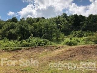 Property image 3 at 000 Granny Smith Drive, Waynesville, NC 28786