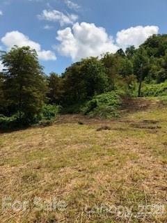 Property image 4 at 000 Granny Smith Drive, Waynesville, NC 28786