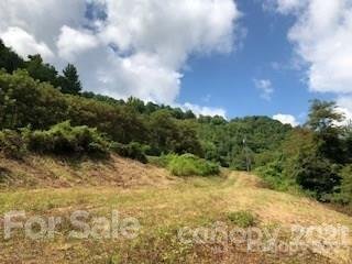 Property image 5 at 000 Granny Smith Drive, Waynesville, NC 28786