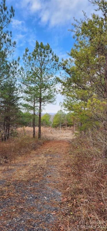 Property image 5 at 43 Biggerstaff Drive, Nebo, NC 28761